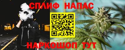 тгк Моздок