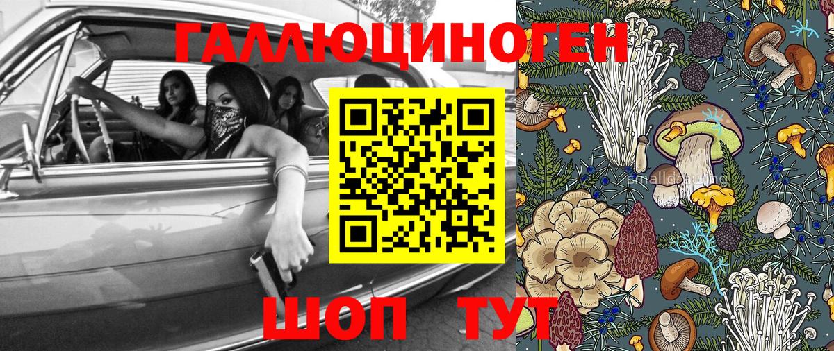Галлюциногенные грибы ЛСД Гуково